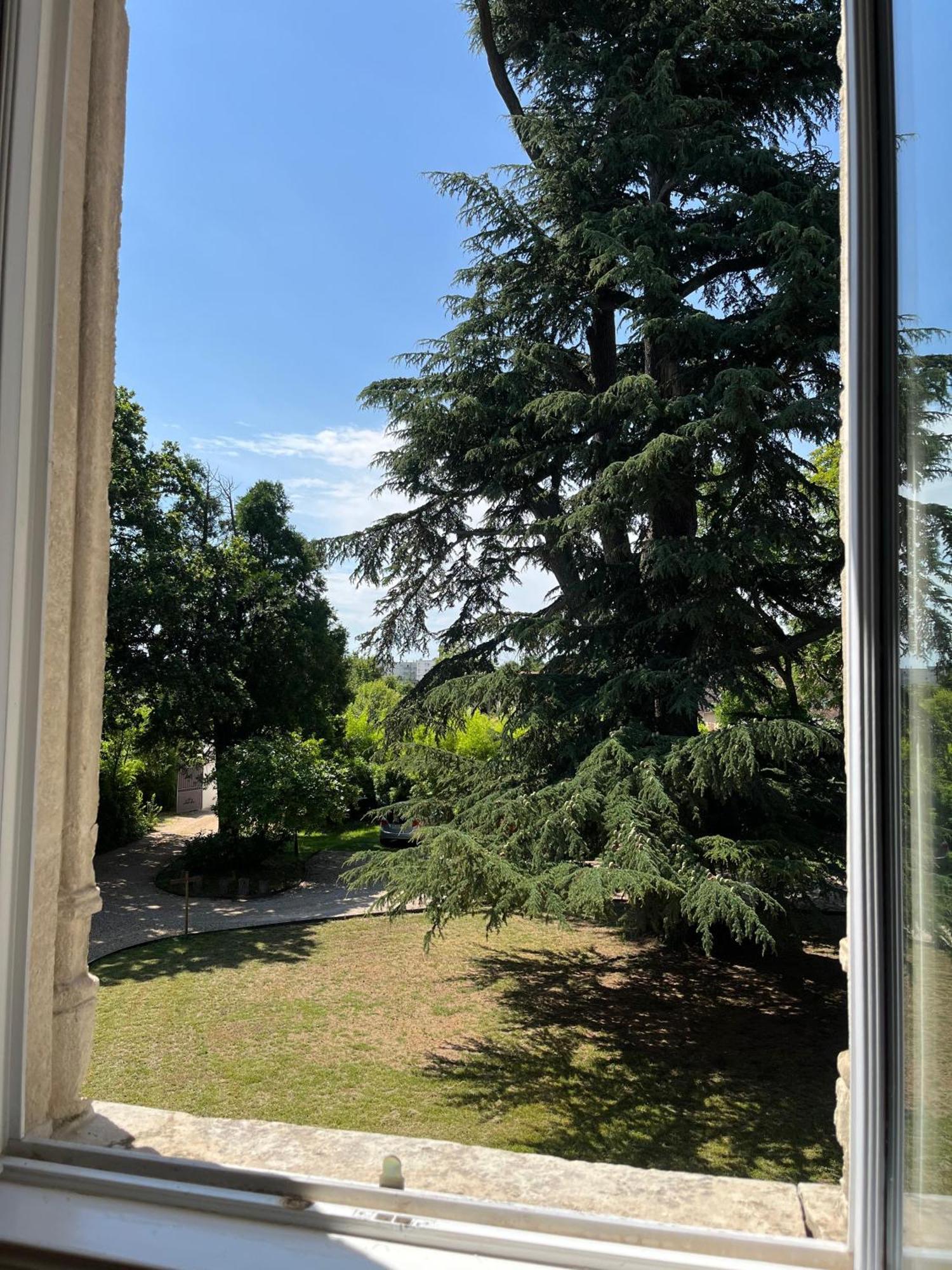 Le Clos Du Cedre Saint-Ouen  Exteriér fotografie